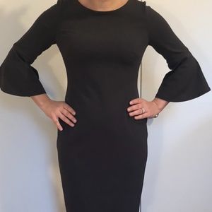 Calvin Klein Bell Sleeve  Career Dress
